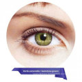 Mejor contacto con los ojos color lente precios Freshtone Lentes De Contacto Magic Fantasy lentes Contactlens